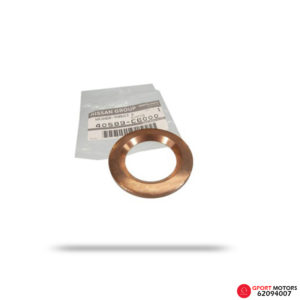 Arandela de Punta de Eje Nissan Patrol 1997 - 2015